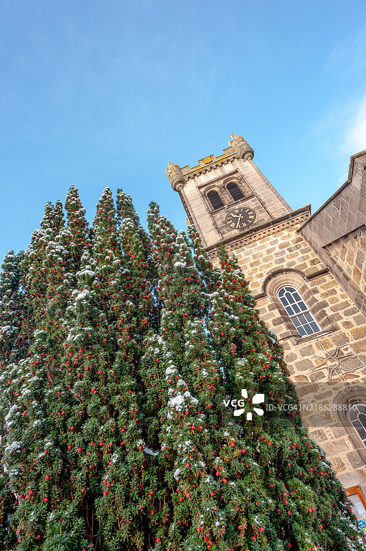 紫杉树-阿伯劳尔教区教堂-雪。图片素材