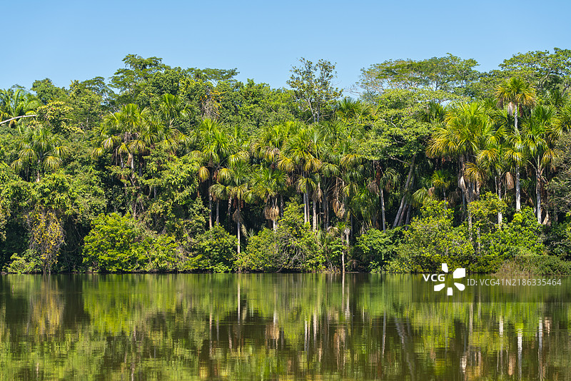 桑多瓦尔湖和阿瓜赫棕榈，坦博帕塔国家保护区，普埃尔托·马尔多纳多，马德雷·德·迪奥斯，秘鲁，南美洲图片素材