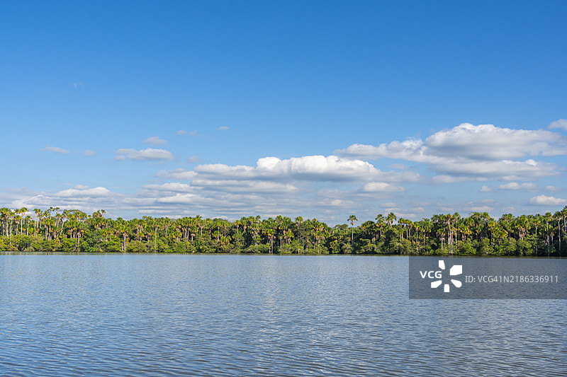 桑多瓦尔湖和阿瓜赫棕榈，坦博帕塔国家保护区，普埃尔托·马尔多纳多，马德雷·德·迪奥斯，秘鲁，南美洲图片素材