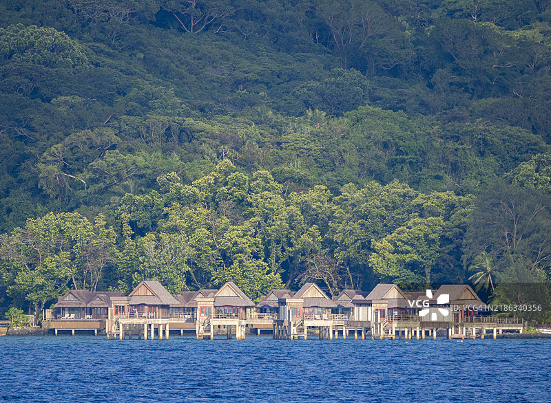 靠近旅游度假村的茂密树叶，帕劳，密克罗尼西亚，太平洋图片素材