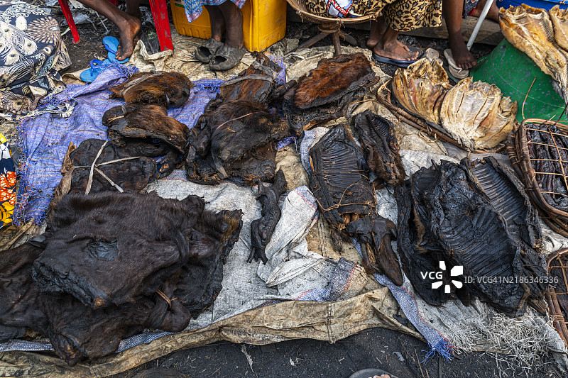 刚果民主共和国埃奎特尔省姆班达卡的野味市场图片素材