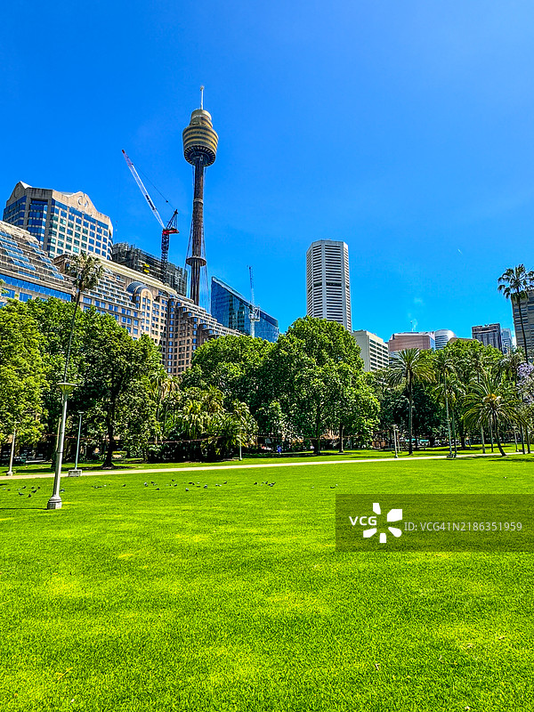 悉尼的海德公园及周围的塔楼图片素材