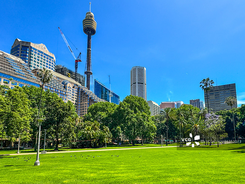 悉尼的海德公园及周围的塔楼图片素材