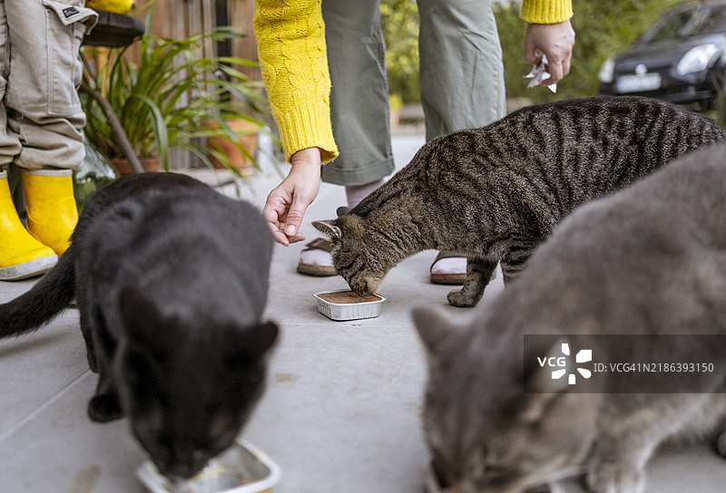 小孩在家门口和妈妈一起喂猫图片素材