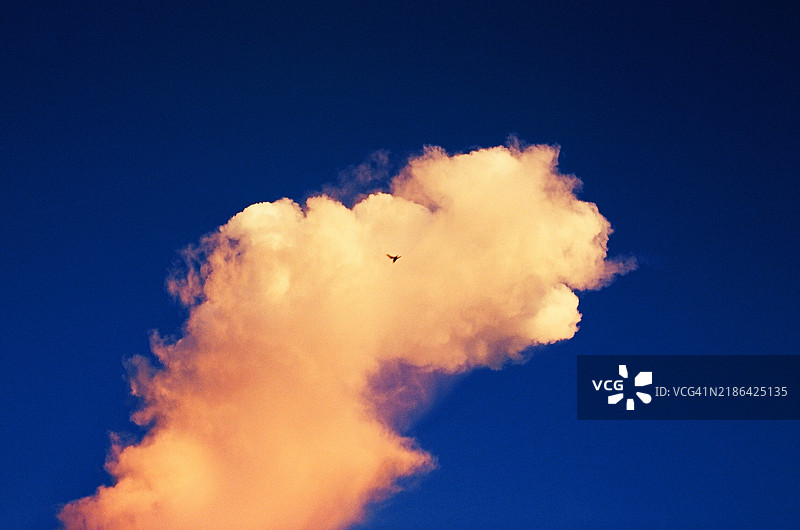 蓝天的低角度视图图片素材