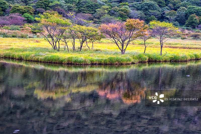 初秋的倒影图片素材