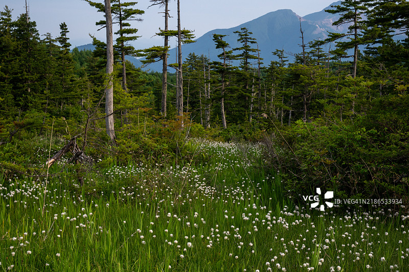 俯瞰磐梯山的草原图片素材