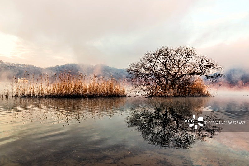 冬季风景中的朦胧倒影图片素材