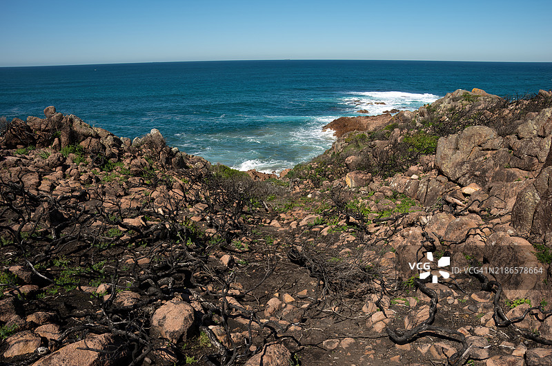 汤玛瑞海岸步道，位于澳大利亚新南威尔士州安娜湾的比鲁比角与渔人湾之间，汤玛瑞国家公园内。图片素材