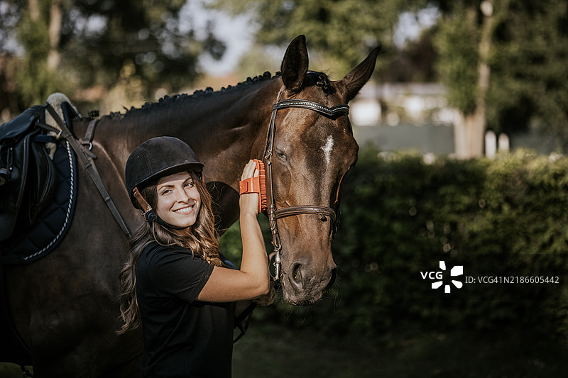 在宁静的牧场中，傍晚阳光下为马匹梳理毛发图片素材