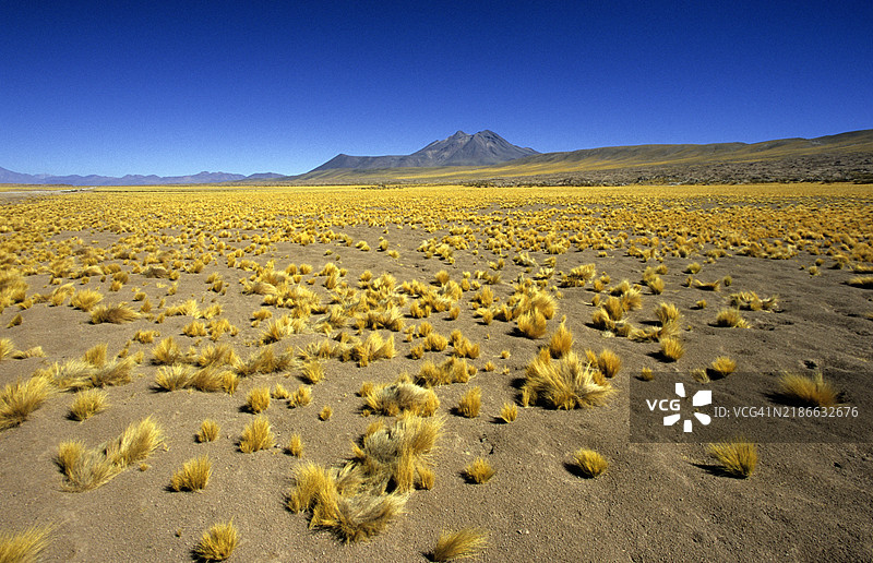 利坎卡布尔火山，智利圣佩德罗·德·阿塔卡马图片素材