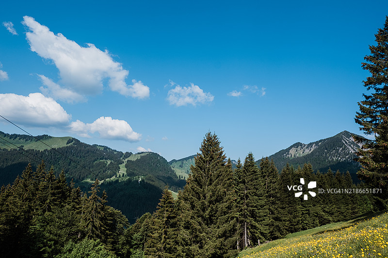 斯皮茨湖山脉的山景和草甸风光图片素材