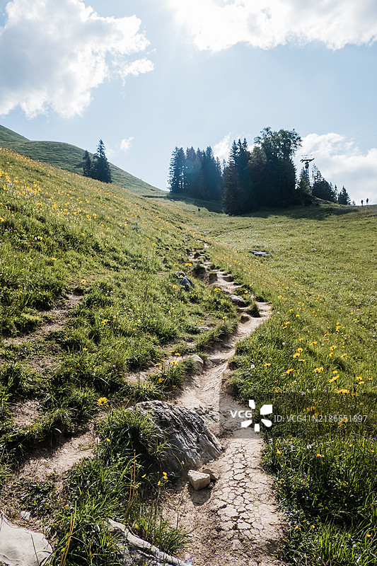 春天的草地上蜿蜒的小径图片素材