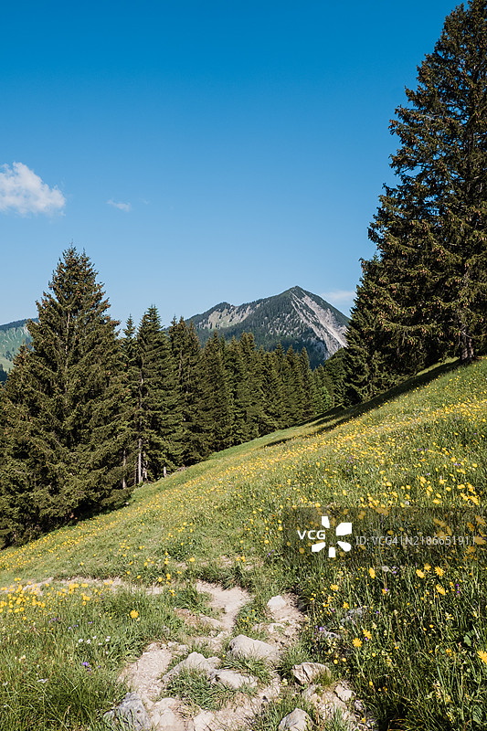 斯皮茨廷湖山脉的山景和草甸风光图片素材