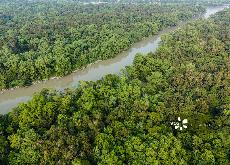 苏门答腊红树林_展示生物多样性和可持续性的航拍镜头。苏门答腊图片素材
