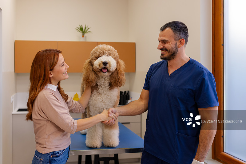 建立信任：宠物主人在就诊后与兽医握手图片素材