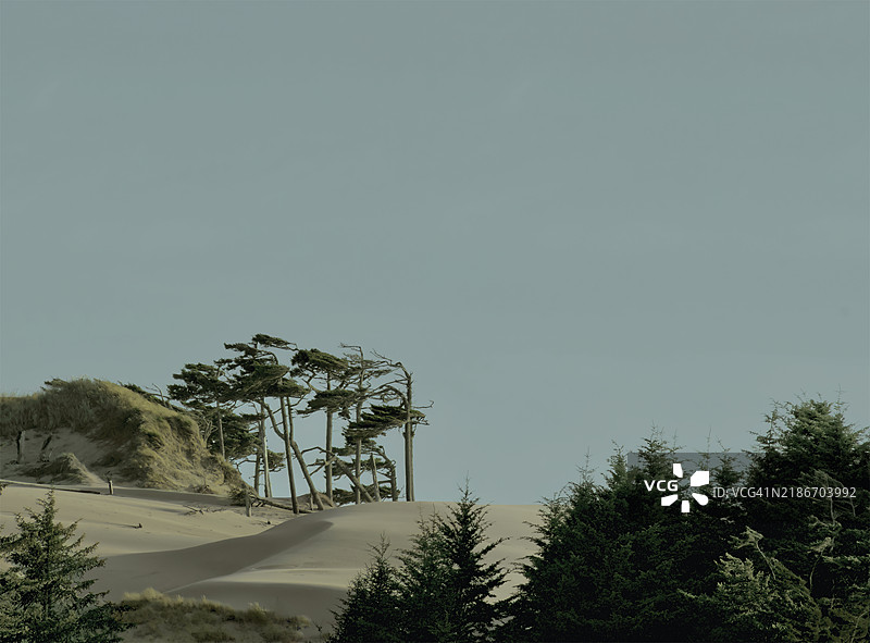 日落沙丘图片素材