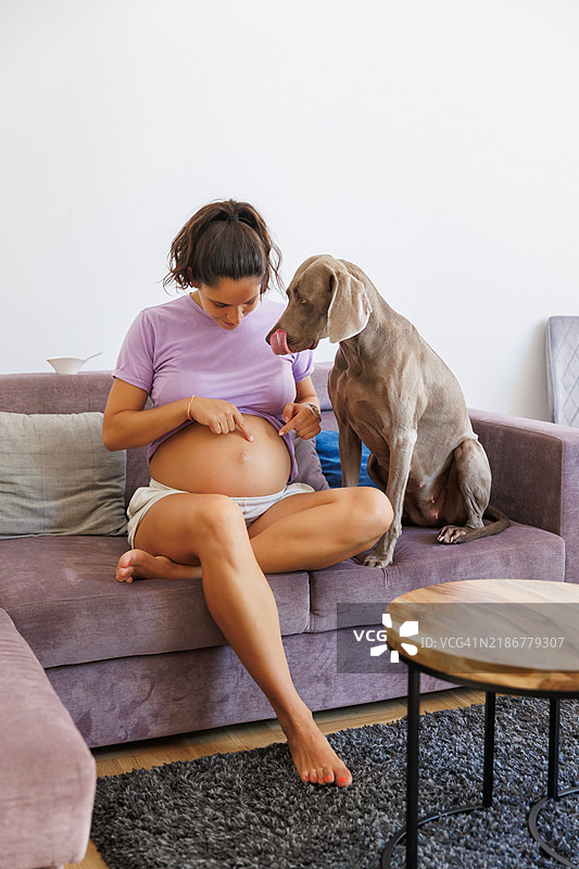 孕妇在客厅沙发上向坐在旁边的狗展示她的肚子，这只狗也怀孕了。图片素材