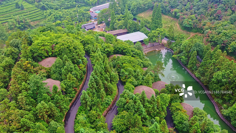 中国浙江省湖州市德清县莫干山，亚洲。图片素材