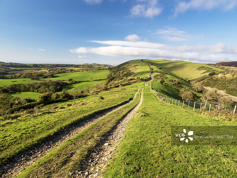 从诺尔山俯瞰位于英国多塞特郡科夫城堡附近的石山。图片素材