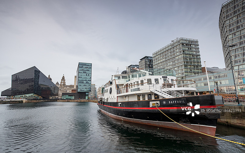 MV 皇家黄水仙号在罐头码头图片素材