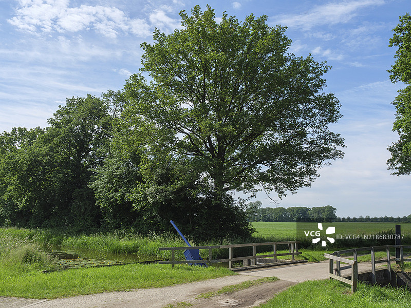 一幅风景画，描绘了一棵大树旁边的桥，桥下是一个沟渠，周围是绿色的草地，地点在荷兰的赫尔德兰省利赫滕福德。图片素材