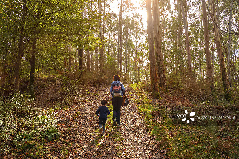 母亲和儿子在吉普斯夸的埃伦特里亚乌尔达布鲁山小径的森林中。巴斯克地区图片素材