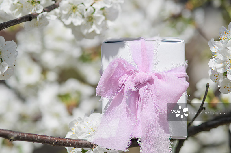 盛开的春花中带有粉色蝴蝶结的礼品盒图片素材