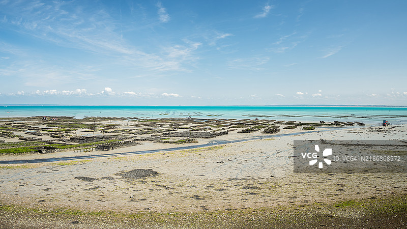 康卡尔的牡蛎养殖场全景,列入联合国教科文组织非物质文化遗产,碧绿色的海水和背景中的圣米歇尔山,伊勒-维莱讷 - 布列塔尼 - 法国。图片素材