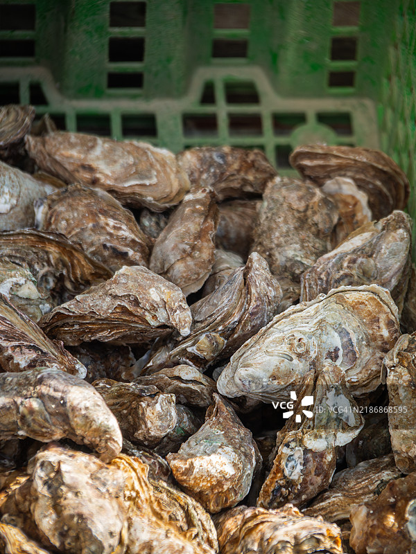 街头食品摊位上出售的生蚝特写，展示了当地在坎卡勒的生产，这里被列入联合国教科文组织非物质文化遗产，位于伊勒-维莱讷 - 布列塔尼（布列塔尼） - 法国西部。图片素材