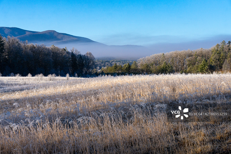 山谷的寒冷早晨图片素材