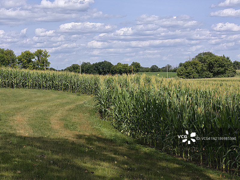 明尼苏达州的田野与天空的美丽景色， 美国图片素材