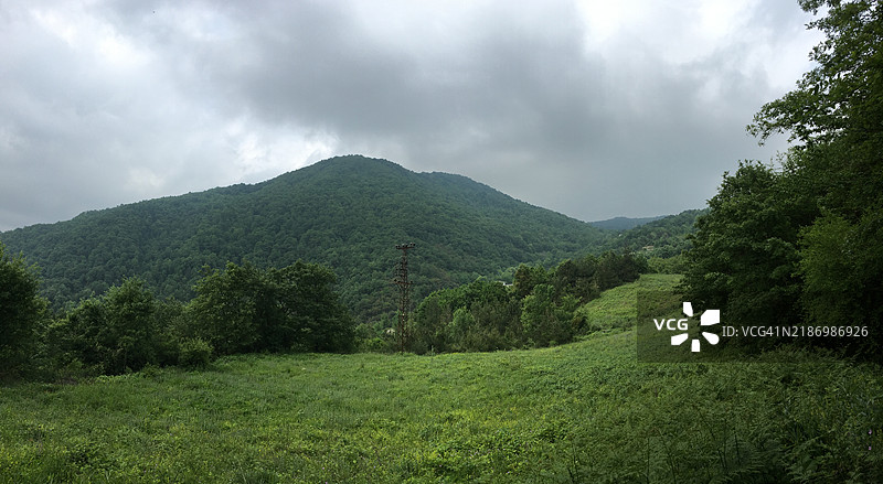 森林与天空的美丽景色图片素材