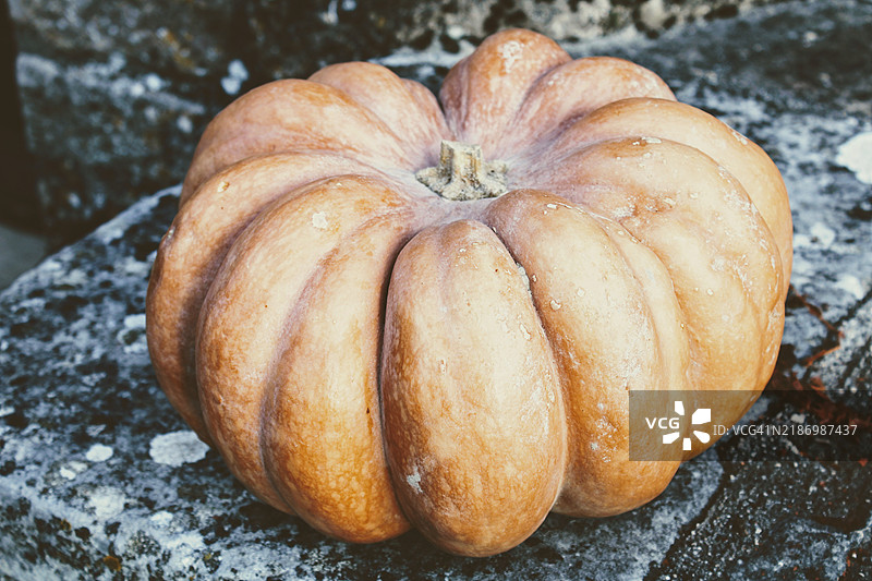 高角度视图的南瓜放在桌子上图片素材