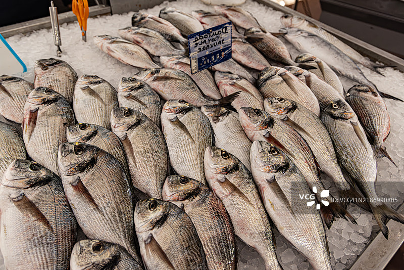 法国戛纳市场的新鲜鱼类展示图片素材