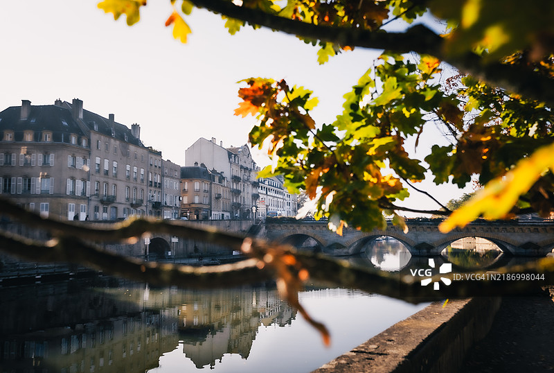 树上雨滴特写，背景是天空图片素材