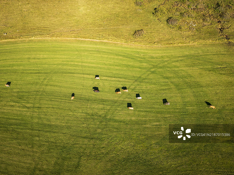 足球场的高角度视图图片素材