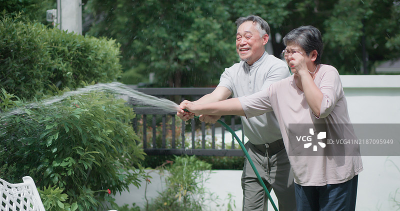 老年男女在花园里浇水，愉快地聊天和互相调侃。场景宁静而放松。图片素材