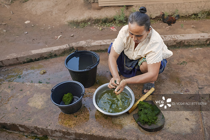 老挝女性在老挝北部偏远村庄清理淡水螺旋藻。图片素材