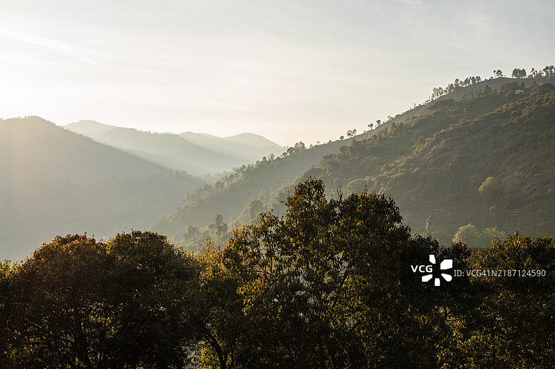 宁静的小径：科塔吉里雾霭缭绕的风景图片素材