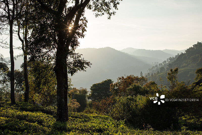 印度西高止山脉自然风光图片图片素材