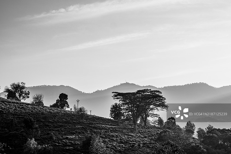 黑白影像，科塔吉里图片素材