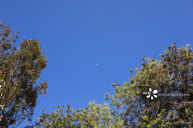 印度西高止山脉上空的月亮图片素材