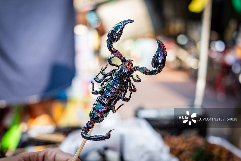 男人手中握着鱼的特写图片素材