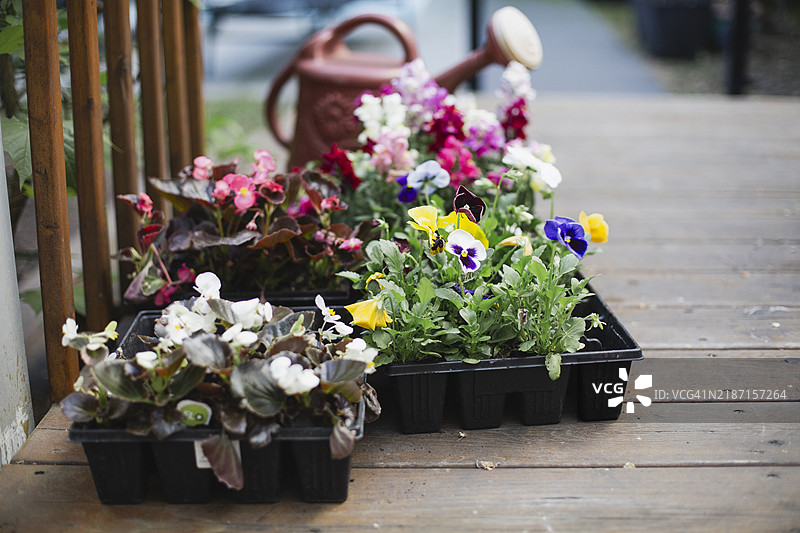 春季园艺图片素材