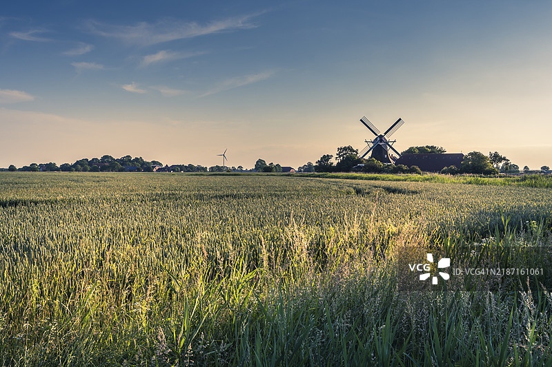 俯瞰田野的塞里梅尔磨坊，传统的风车位于德国下萨克森州东弗里西亚的乡村环境中，诺伊哈林根斯基尔。图片素材