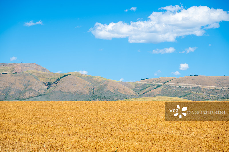 田野与蓝天的美丽景色，杰克逊，密西西比州，美国图片素材