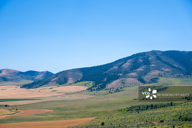 明媚蓝天下的田野风景，杰克逊，密西西比州，美国图片素材