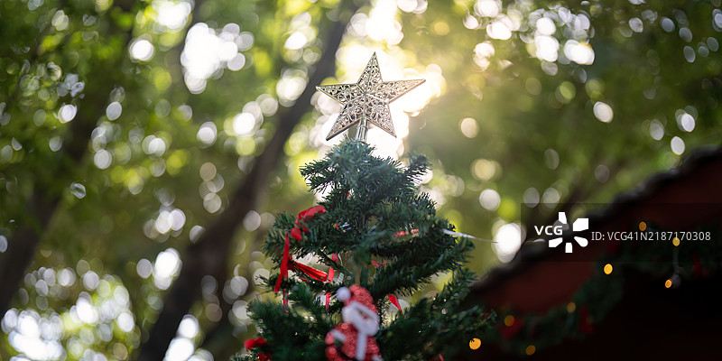 户外假日爱好者在装饰带星星顶饰的圣诞树图片素材