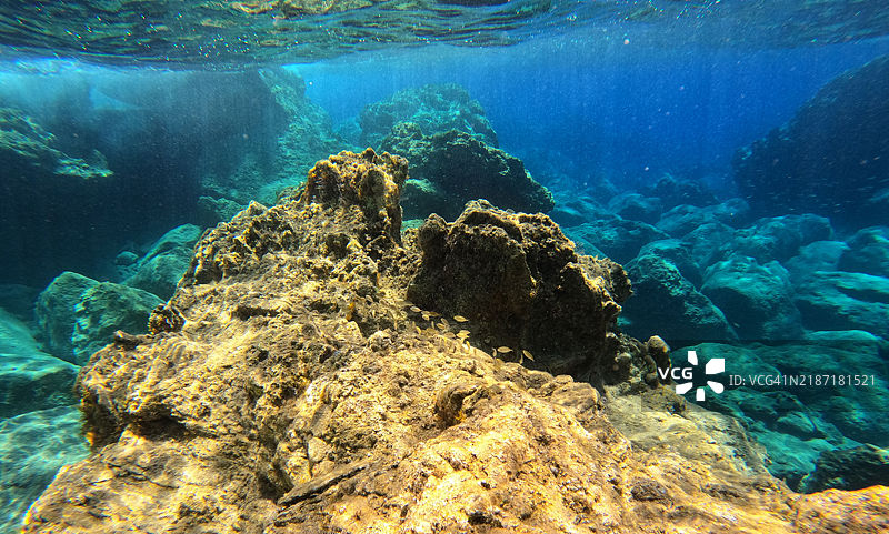 水下珊瑚特写图片素材